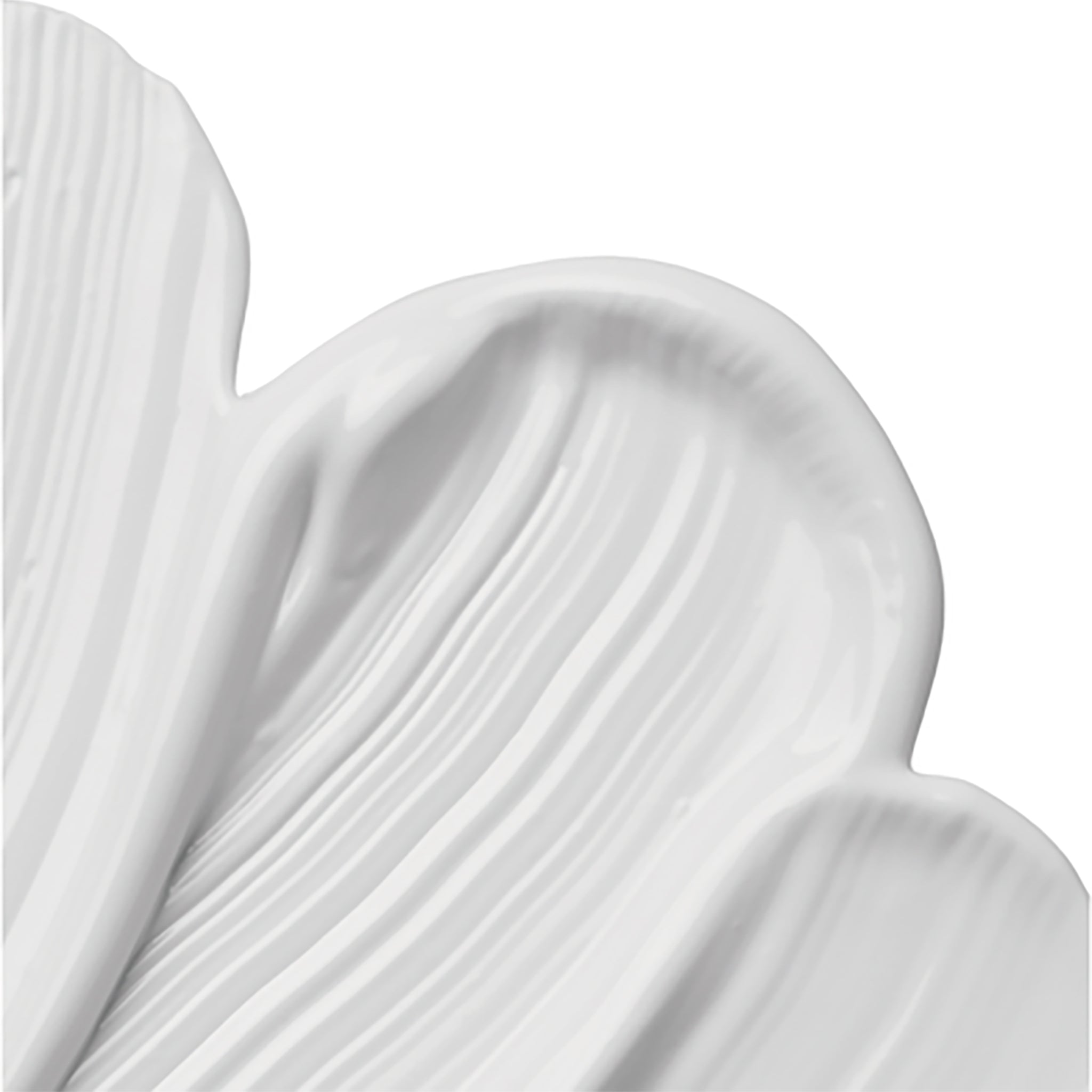 SSEDAM Real Lacto Redlabel RX Cream 40ml / 1.35 fl oz